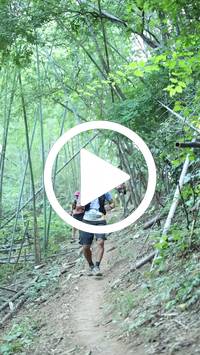 BIB:  <button type="button" onclick="openModal(28039635)" class="btn btn-primary btn-sm float-right" data-toggle="modal" data-target=".modal-high-quality">
                <i class="fa fa-download"></i> Download
                </button>